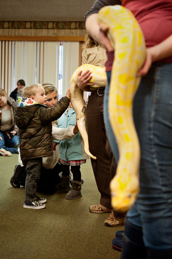 The Knee High Naturalists are introduced to an albino python at Binder Park Zoo. 