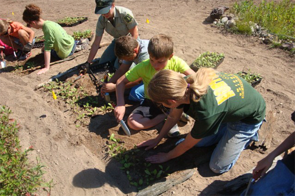 Life of Lake Superior youth planted 5000 wildflower plugs